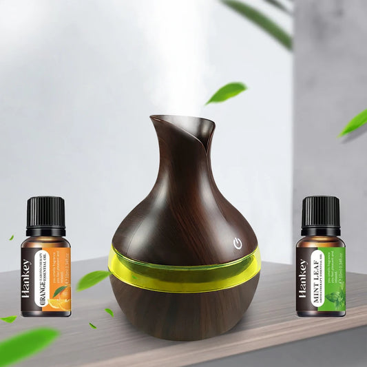 Mini Touch Humidifier 300ml USB Diffuser with 2 Essential Oils Portable for Travel  Small Spaces